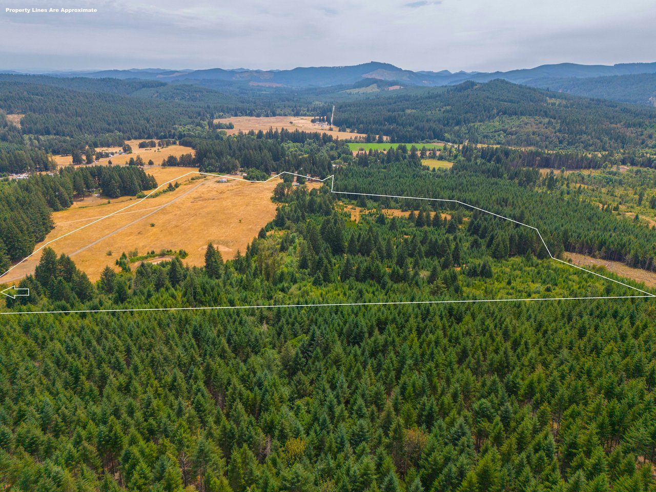 Sheffler Farm & Forest