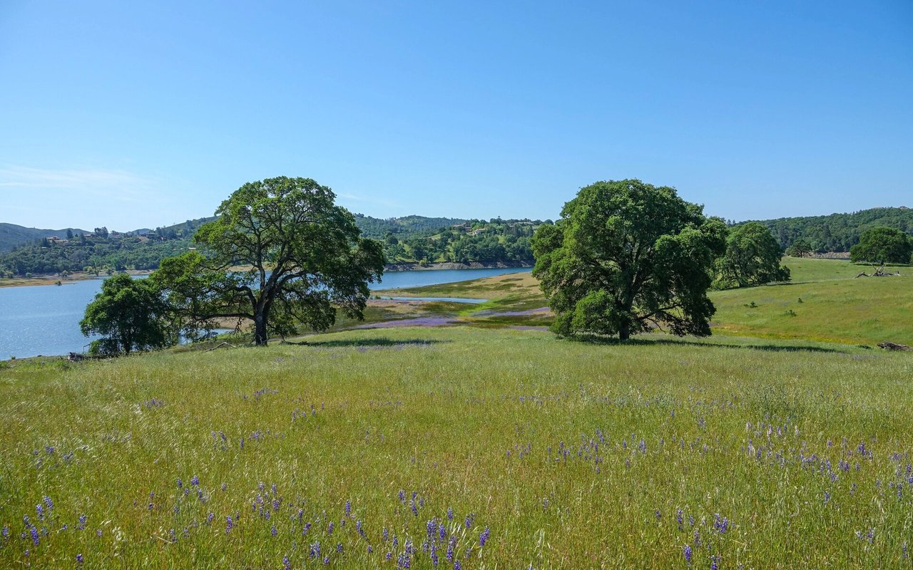 Buying Vacant Land in Wisconsin: What Every Smart Buyer Should Know Before They Build, Hunt or Invest