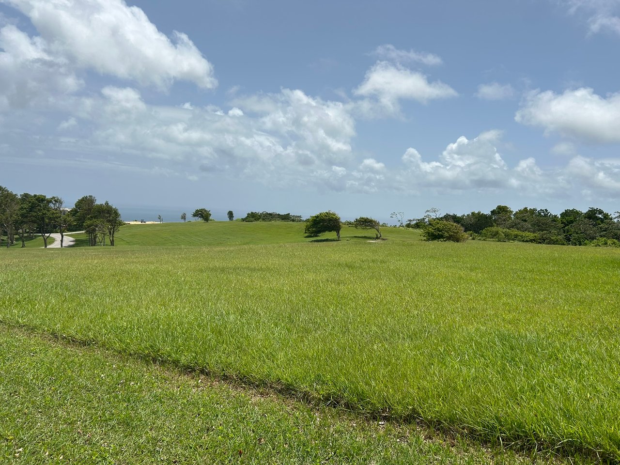 Apes Hill, Holders Meadow, H16