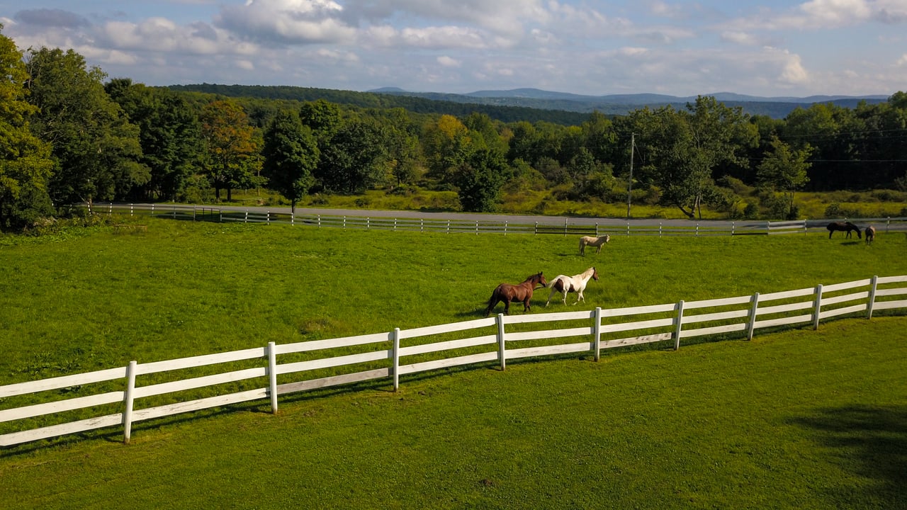 Tryon