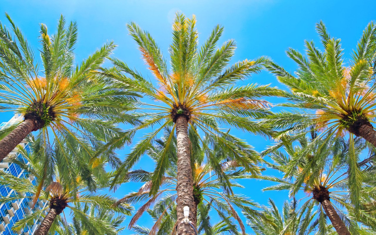 Steps to Become a Florida Resident