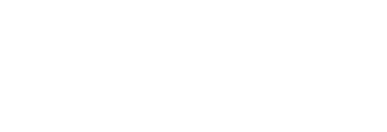 Light Logo