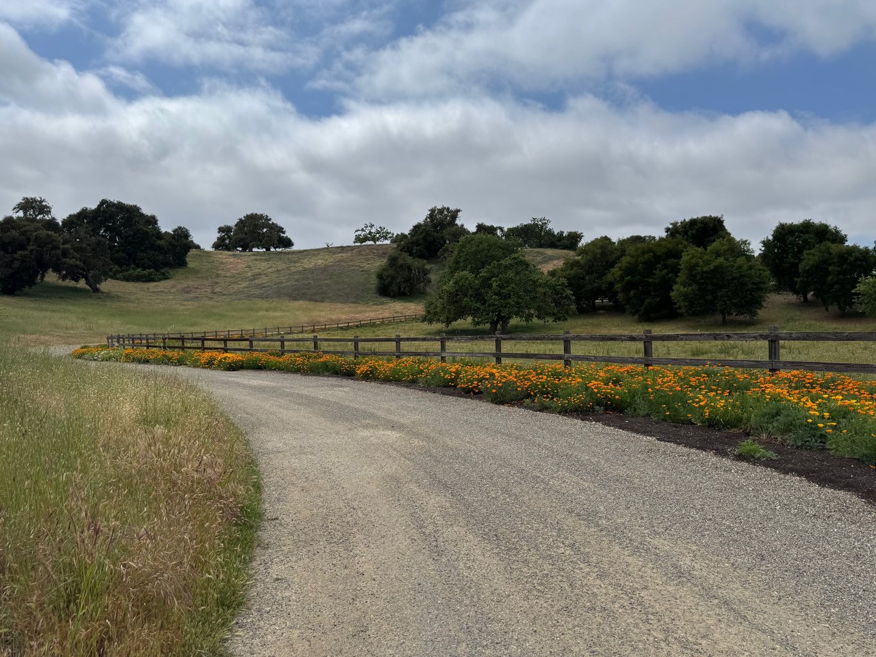 Country Farmhouse for Rent
