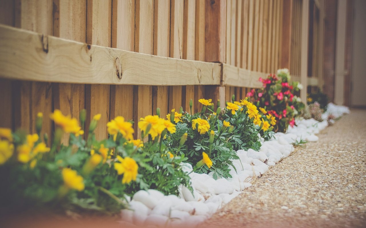 5 Landscaping Trends to Try This Spring