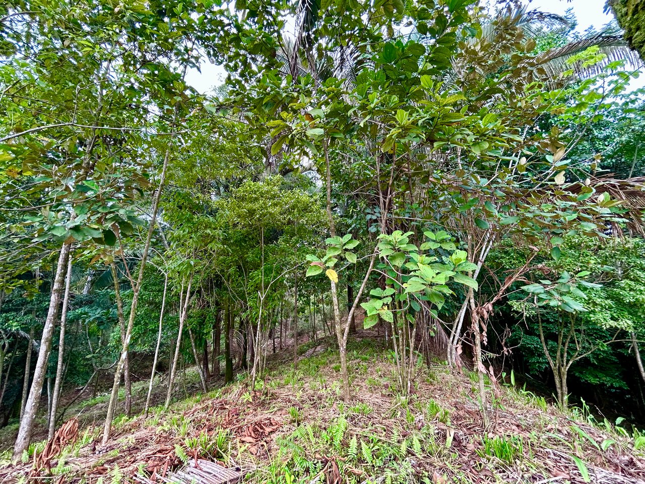 Over 1.4 Acres in Playa Hermosa – Just 5 Minutes from the Beach!