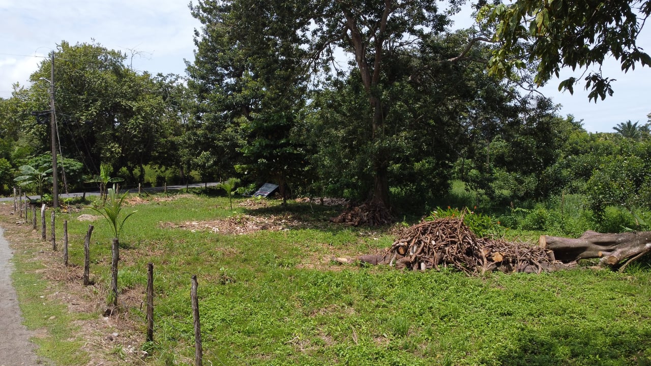 Prime Lot Just 350 Meters from Matapalo Beach – Ideal for Commercial or Residential Development