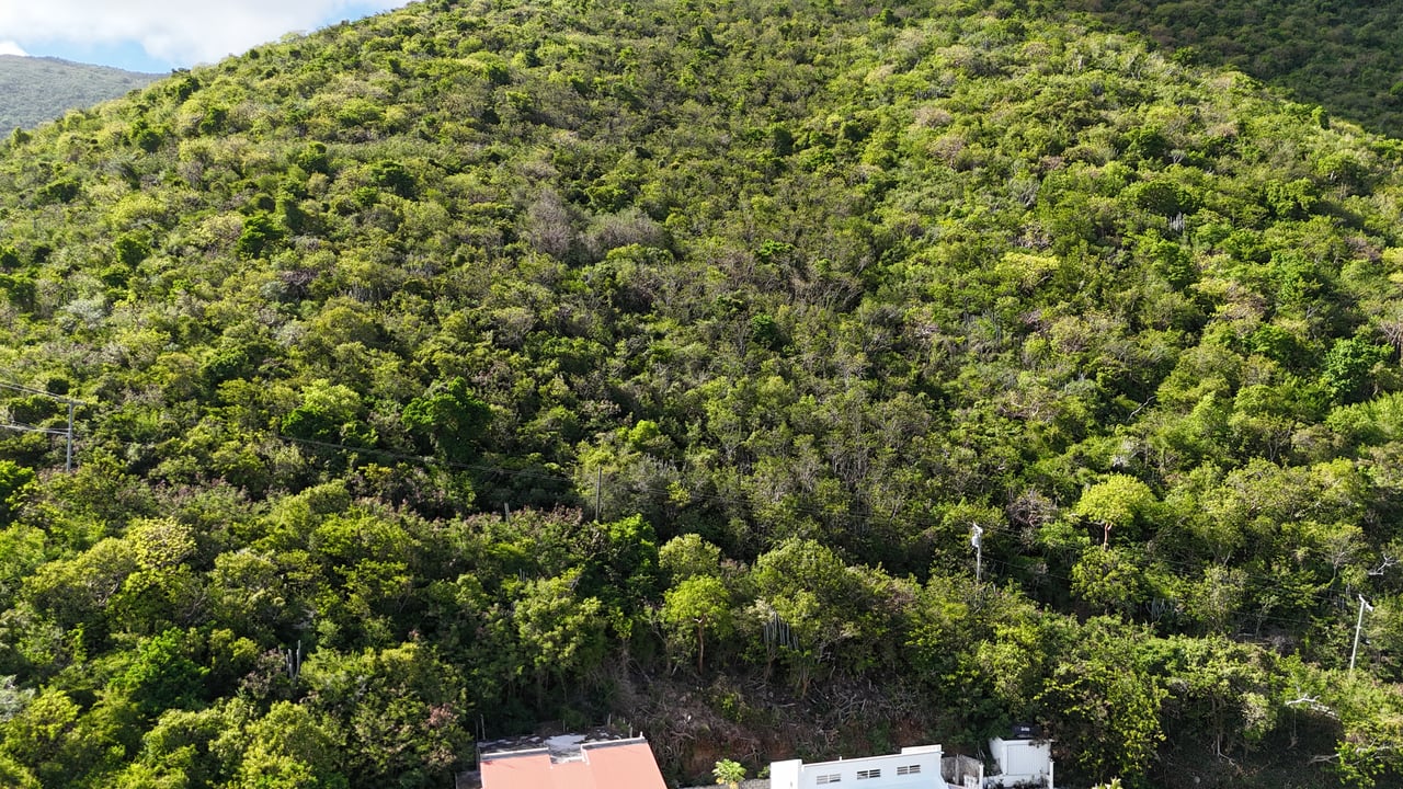 Marguerite Estate