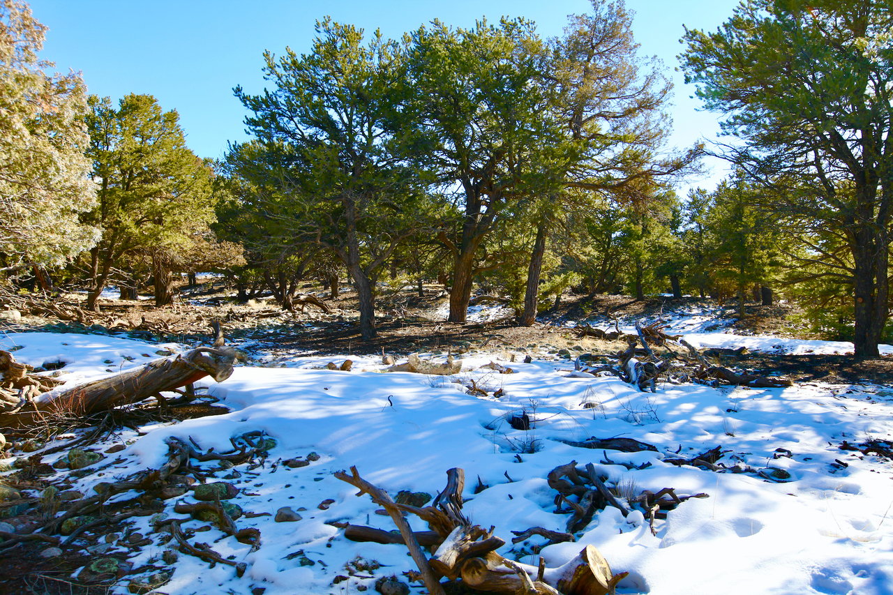 Condor Overlook Homesite