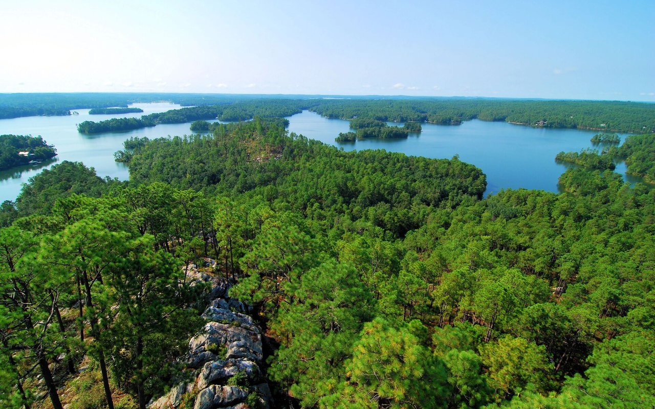 The Woodlands/Forest Lake