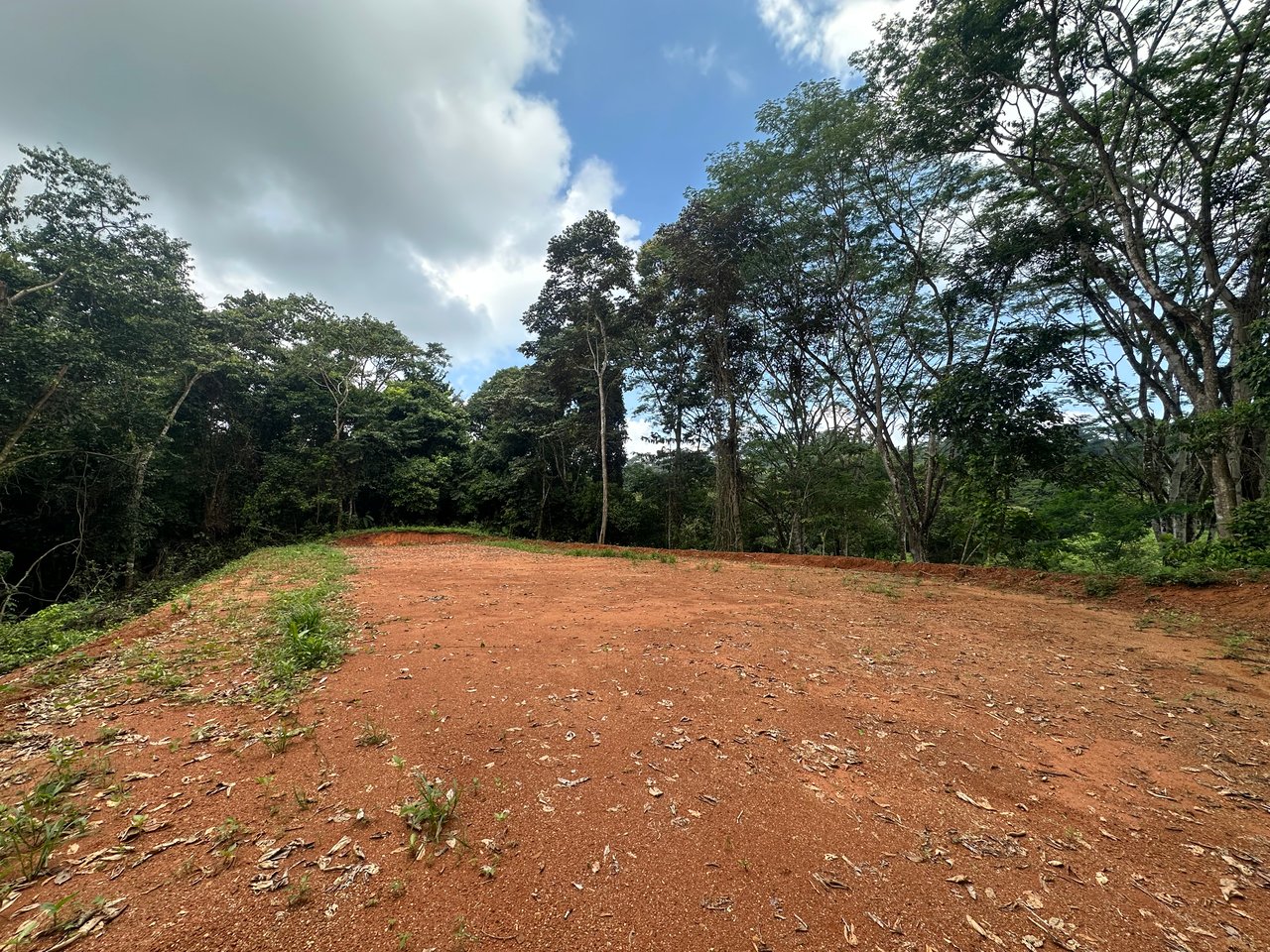 Jungle Oasis with River Frontage Near Dominical – 5.2 Acres of Pure Nature