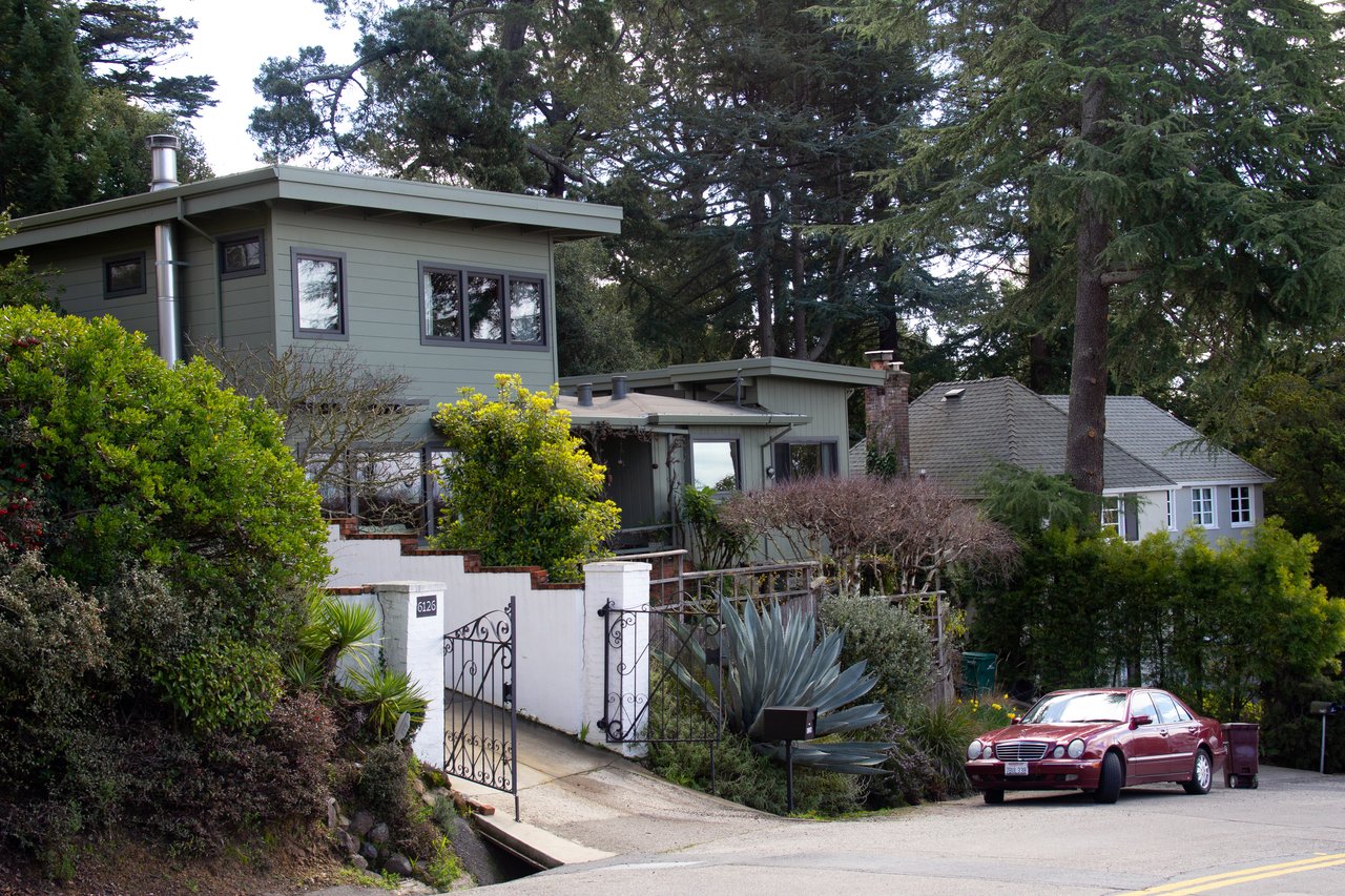 Piedmont Pines