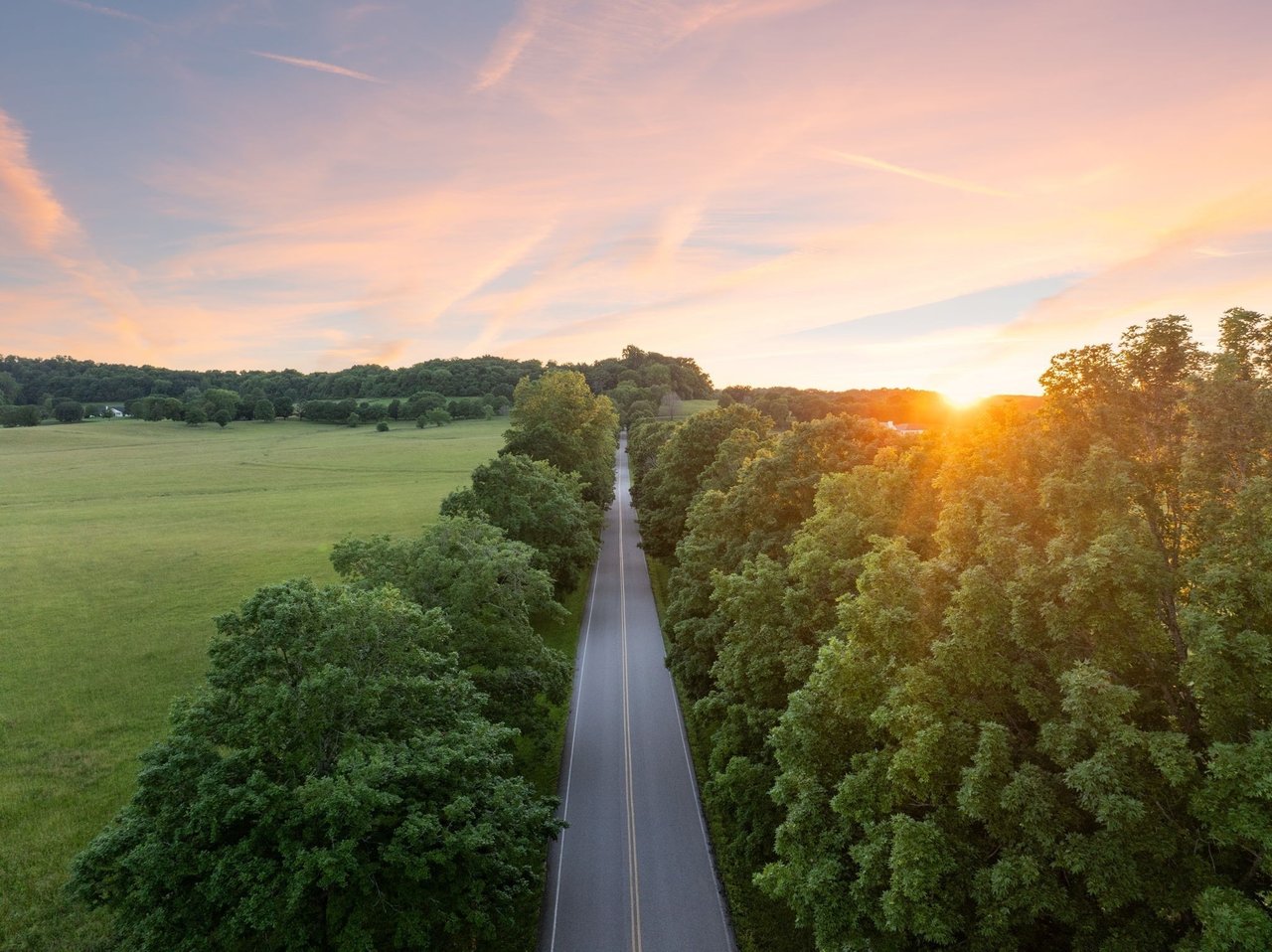 Marlowe Springs & Marlowe Meadows