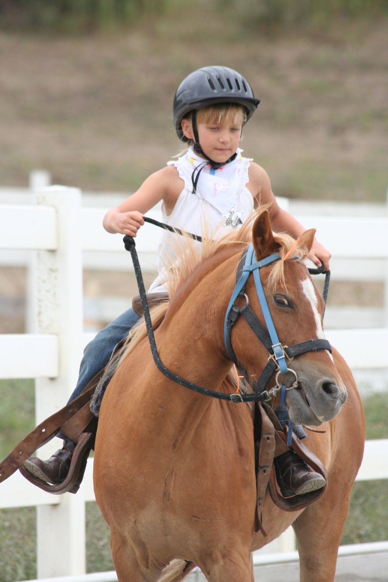 8 Coastal Summer Camp Adventures Not To Miss