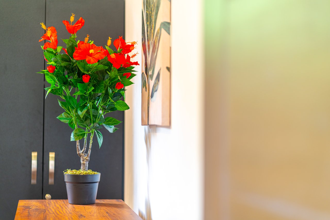 Brand New Home! Nature Lovers Escape by Uvita's Bamboo Forest and Swimming Holes