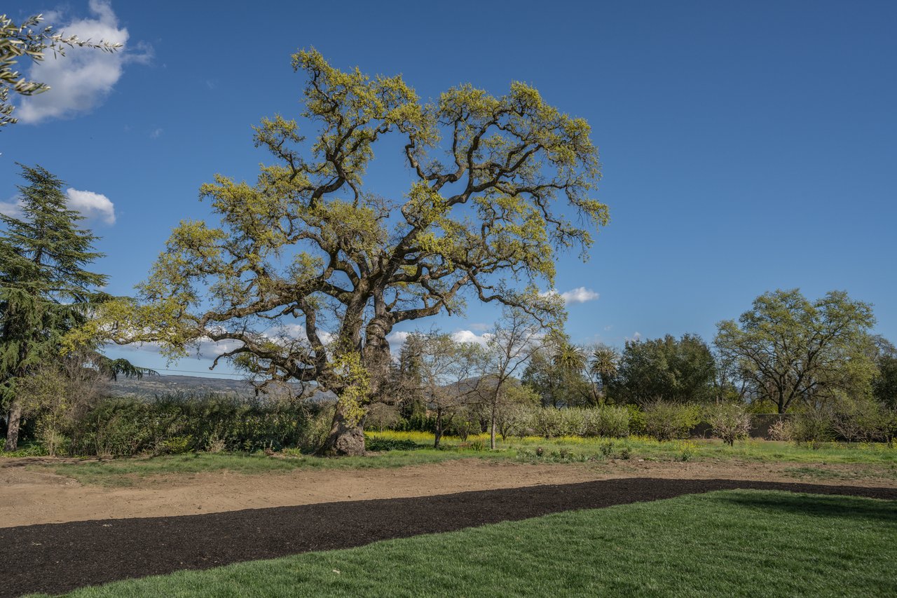 Big Ranch Road, Napa