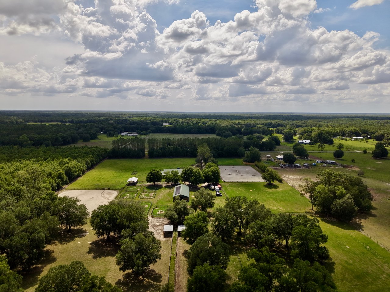 Williston Fl, C&C Lucky Tips Farm