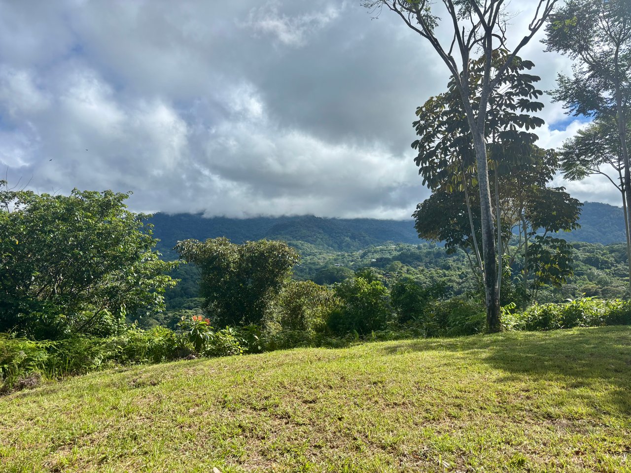 Majestic Expansive Mountain Backdrop