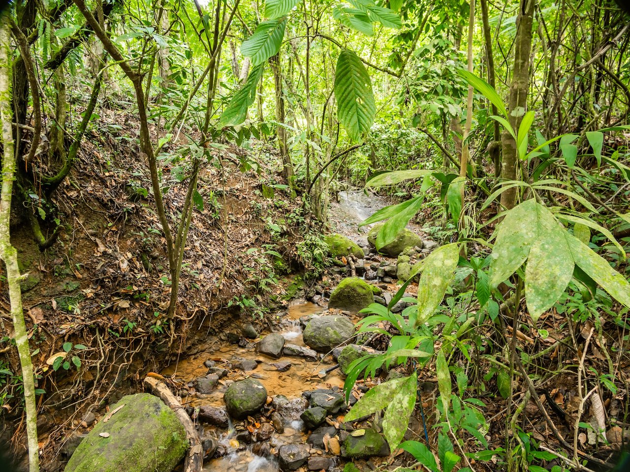 Scenic 2-Home Property for Sale in Serenity Gardens, Costa Rica – 1 Acre Mountain Estate Near Ojochal