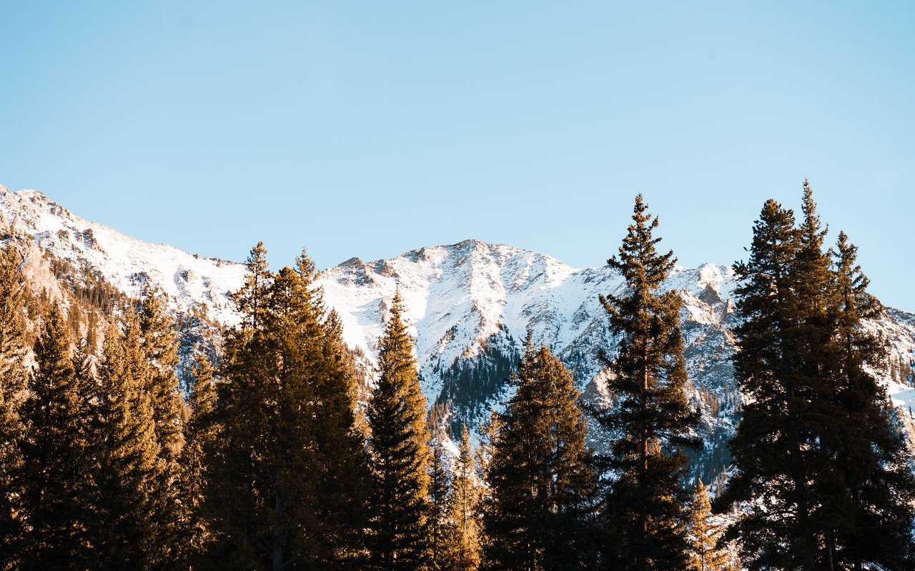 Leaving Colorado: The Top Destinations for People Who Move Out