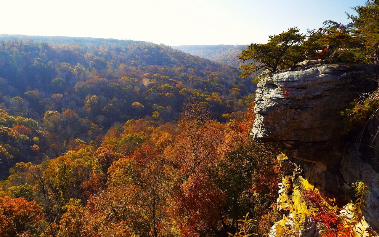 Jackson County