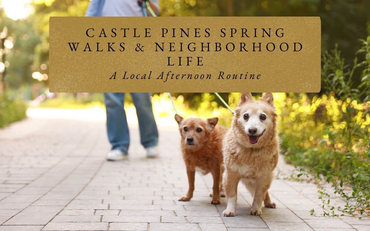 Parents and dogs walking The Meadows Castle Pines Trail amid wildflowers, showcasing family-friendly path in spring afternoons.