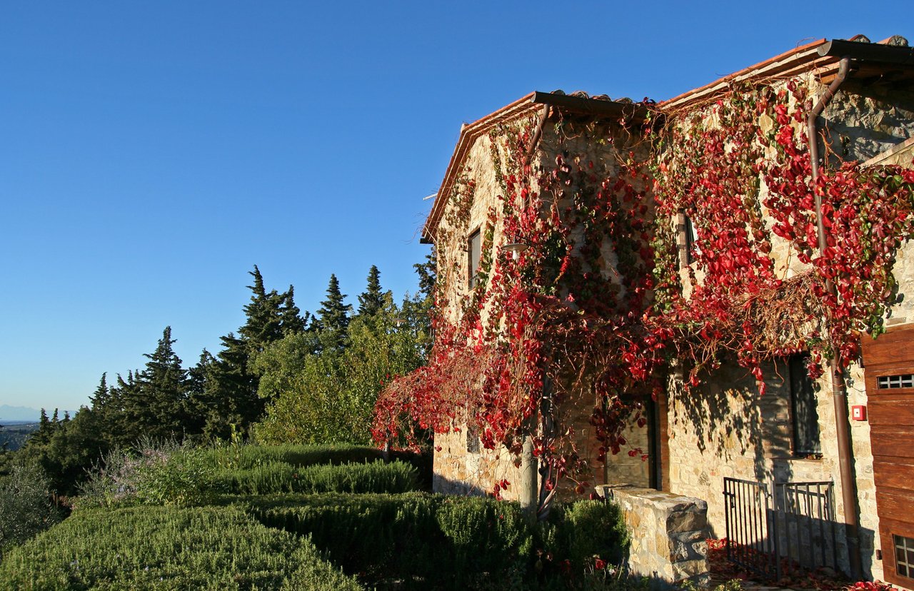 Bed and Breakfast in Chianti