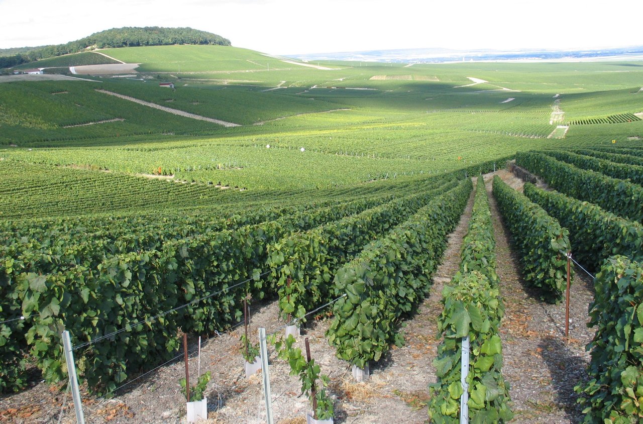 Champagne-Ardenne