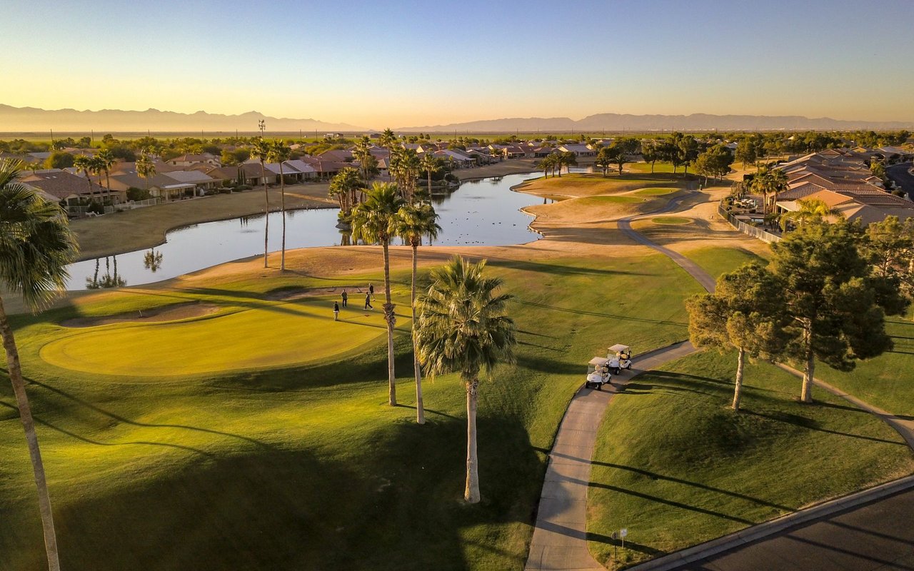 Silverleaf