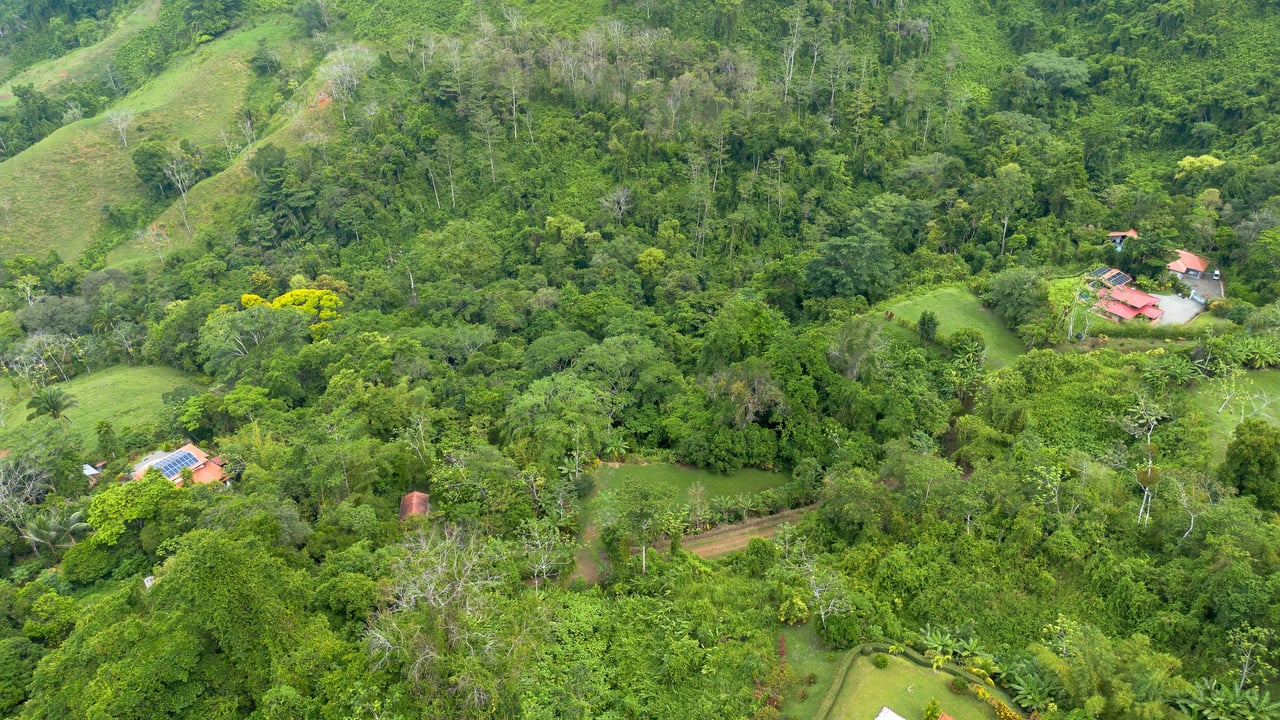 Waterfall Retreat with Casita & Build-Ready Lot in Cascada Azul, Baru