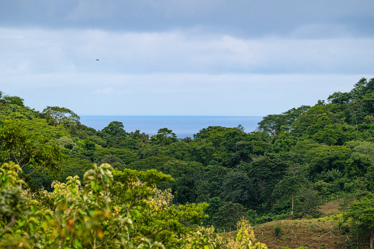 Casa Coroico | Ocean View Investment Opportunity in Pinilla Highlands