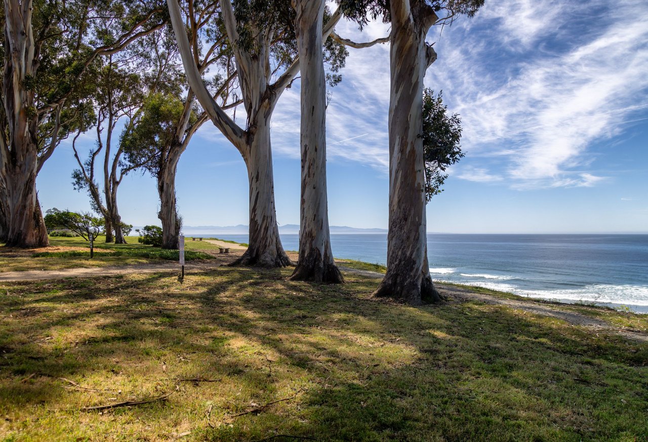 Honey Hill - 365 Race Horse Ln