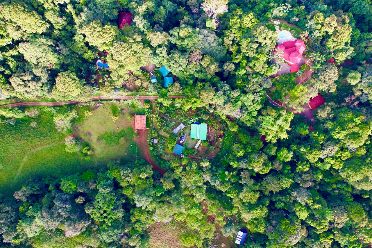 Sustainable Living Farm to Table with Home, Guest House ,Tinamastes on the River