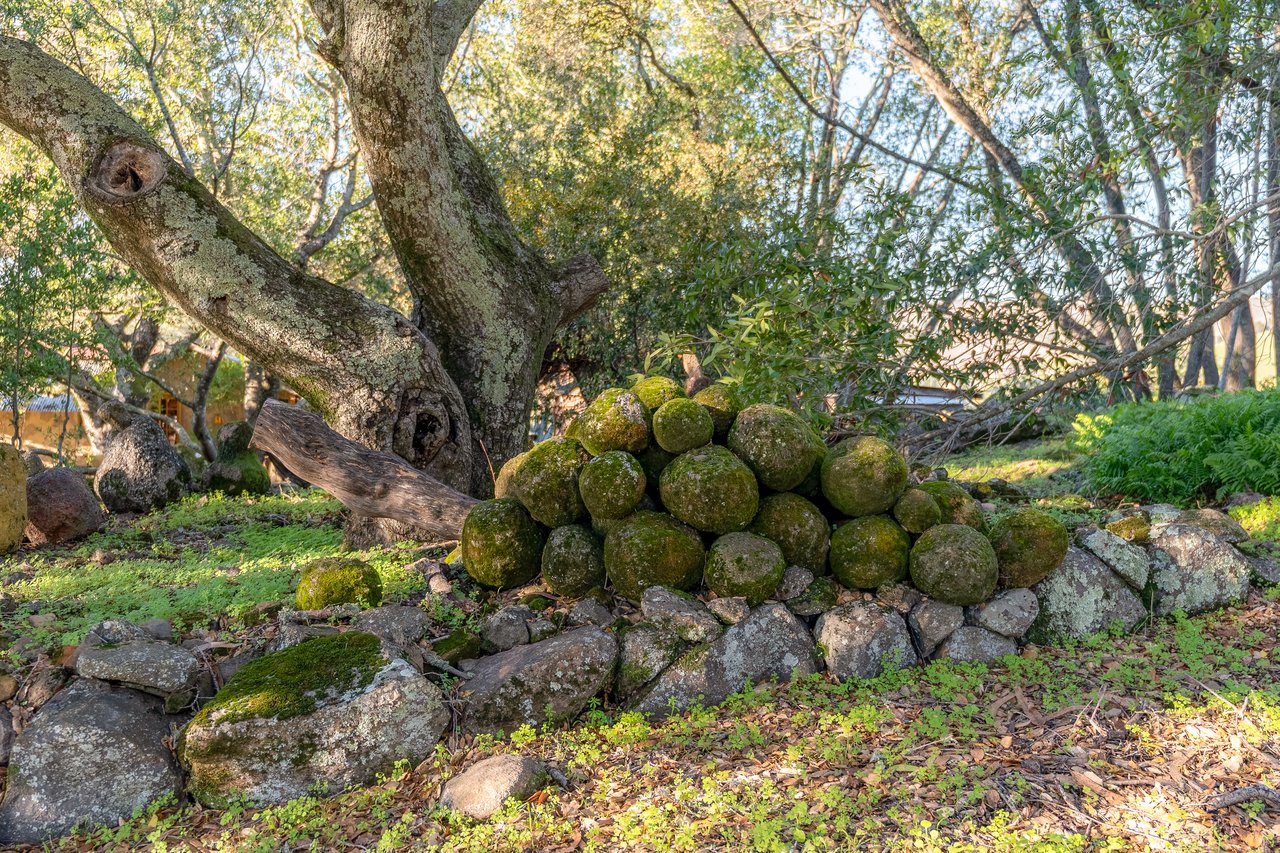 5100 Lovall Valley Loop Rd. 