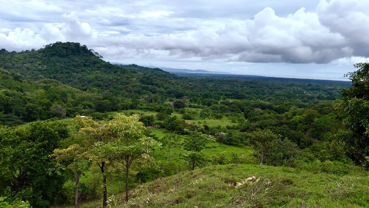 Ocean View Sanctuary in San Buenas – 4.94 Acres of Pastures & Easy Accessaccess