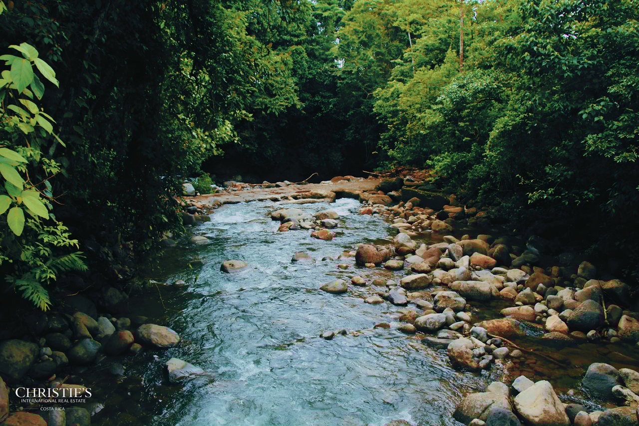 Finca Isla Rainforest Retreat – A Rare Income-Producing Paradise