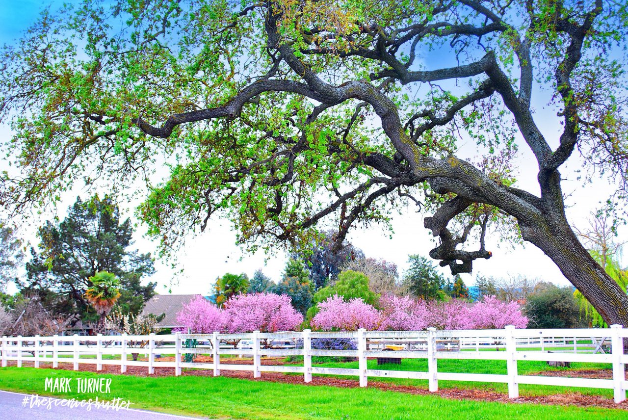 Spring Sellers Have An Edge... Here's Why