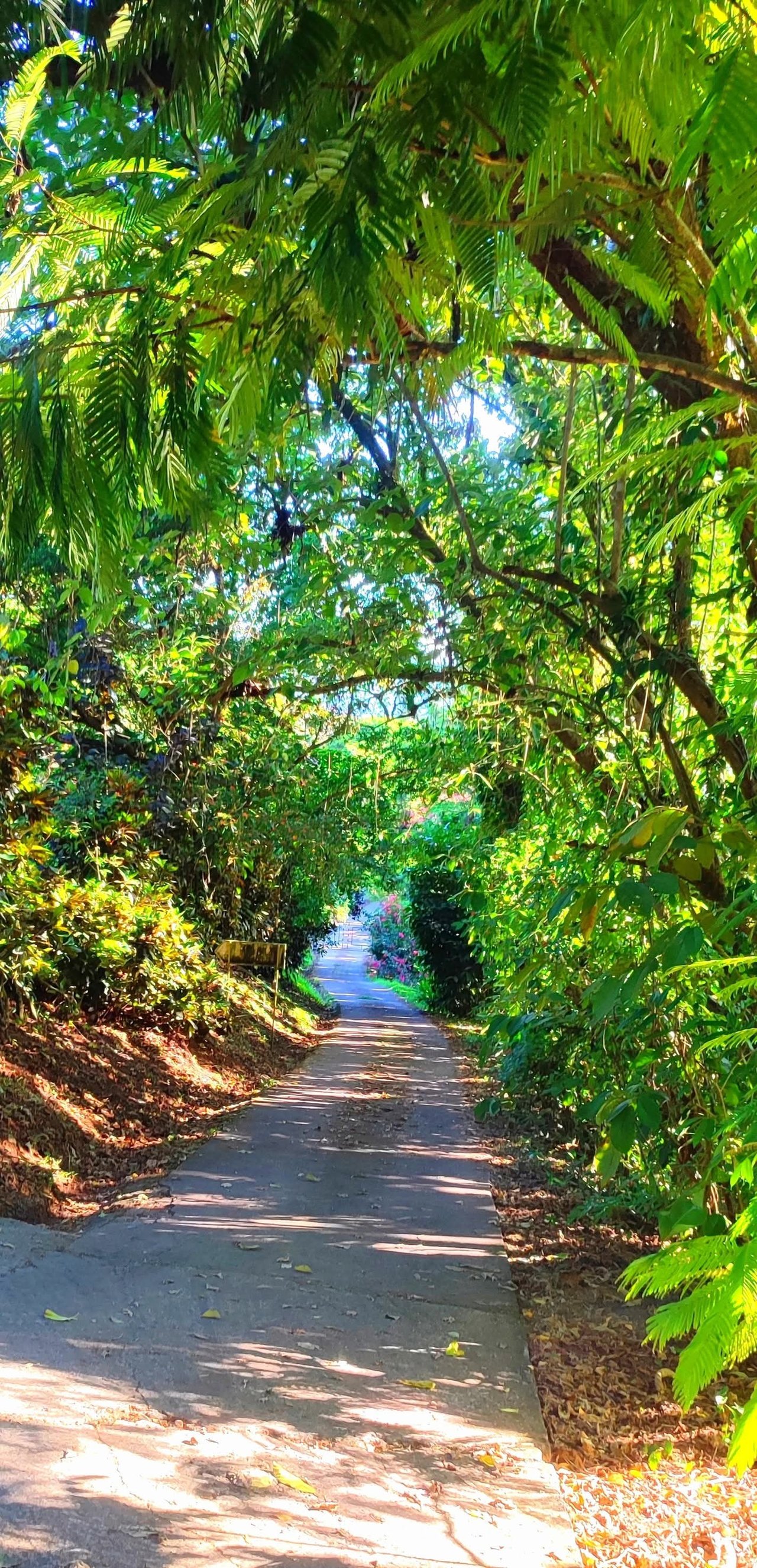 LakeGardens Arenal Condos: Furnished Villas for Sale from $99,900 to $159,000 | Lake Arenal, Costa Rica