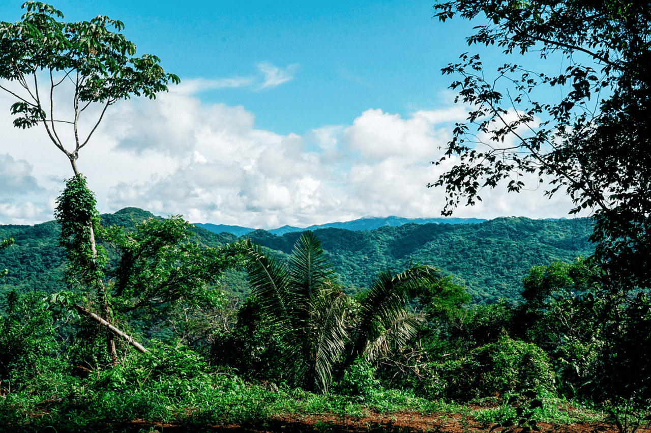 Finca Tremblade - 170 Acre Jungle And Oceanview Development In Nosara