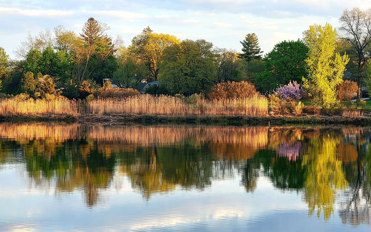 Island Park