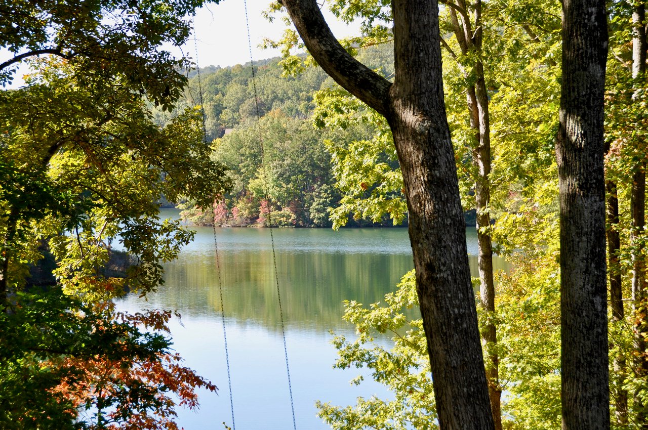 The Big Canoe Lakefront Home That Doesn't Come With a Boat Slip