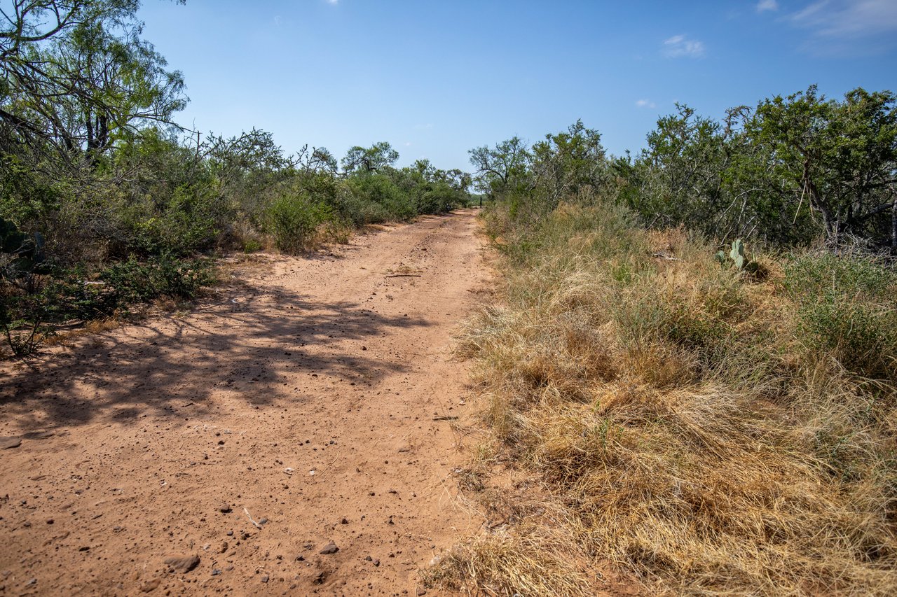 Oaks, Wildlife, & the Quiet of the Countryside | 26.99± Acres | Poteet, TX