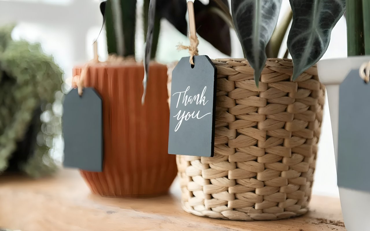 A Warm Welcome: Thoughtful Gifts to Leave for Your Old Home’s New Owners
