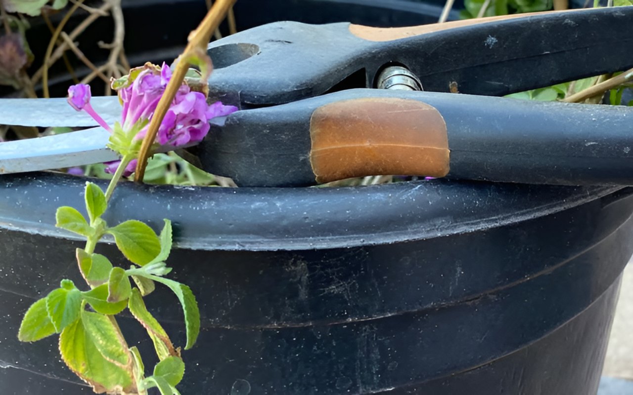 Spring Home Maintenance Tips