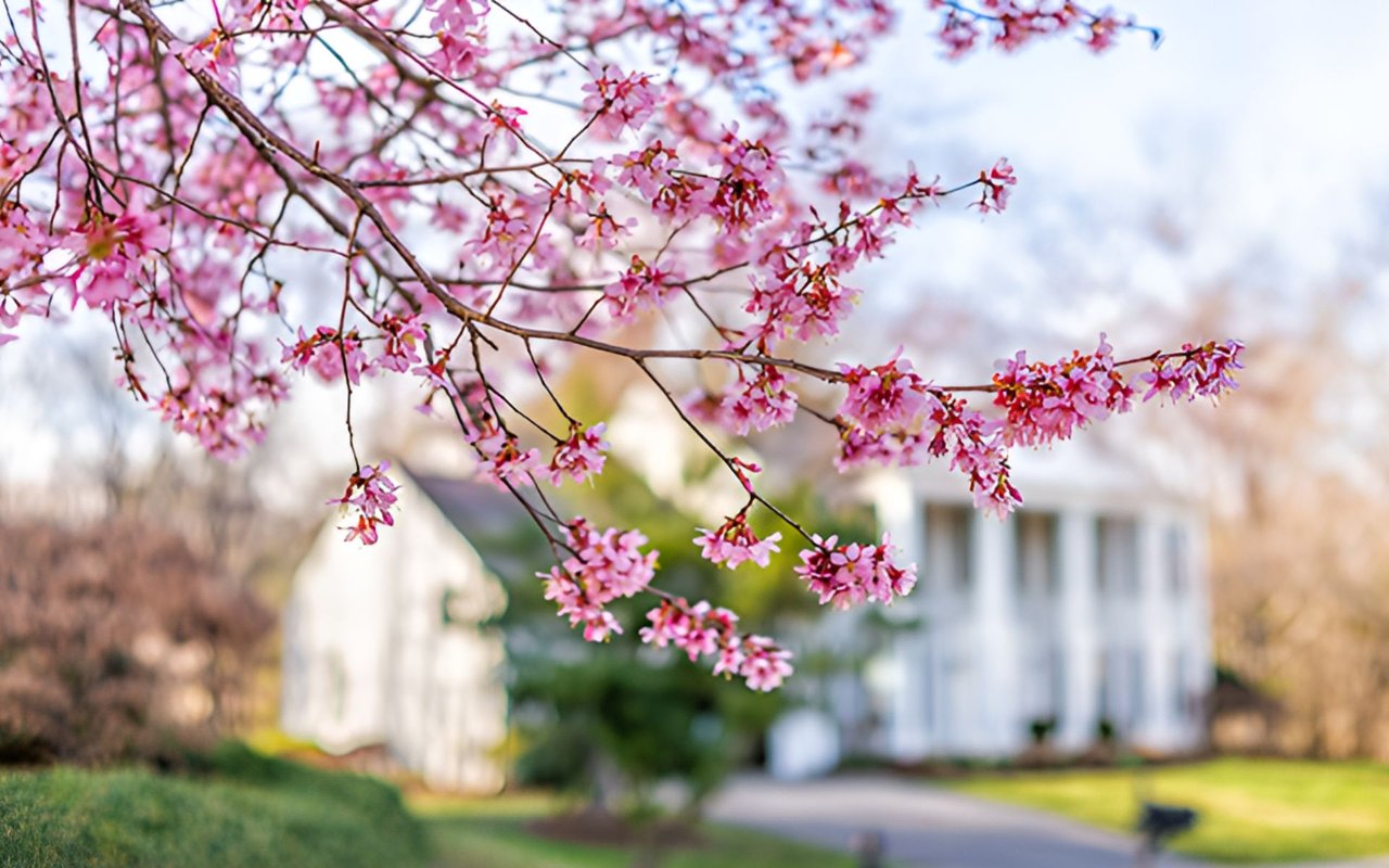 This Spring Presents Sellers with a Golden Opportunity