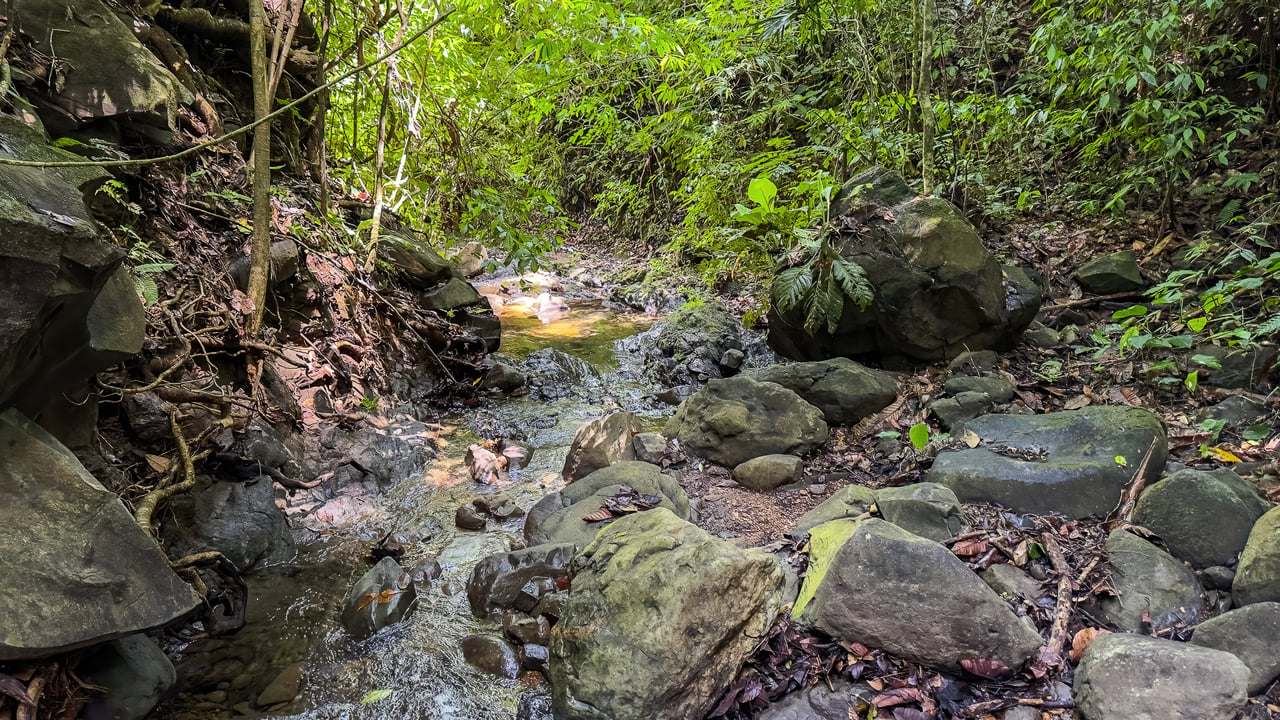 60+ Hectares in Platanillo | Own Your Own Mountain in Costa Rica
