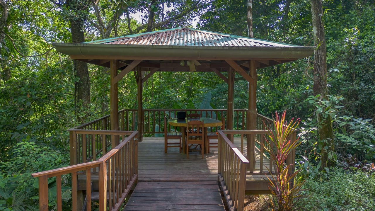 Private Jungle Oasis ! 1 Bed, 1 Bath Hatillo Haven