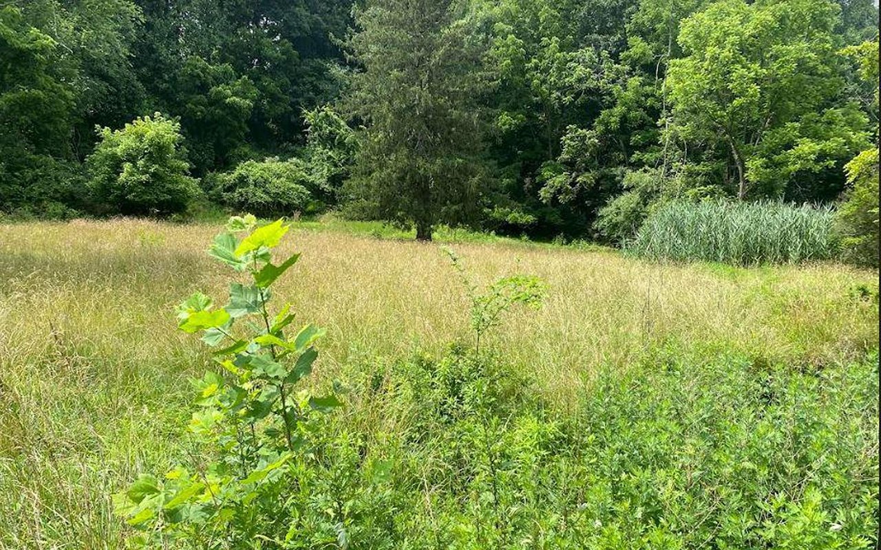 1351 Baltimore Pike, Chadds Ford, PA, 19317 is Now New to the Market!