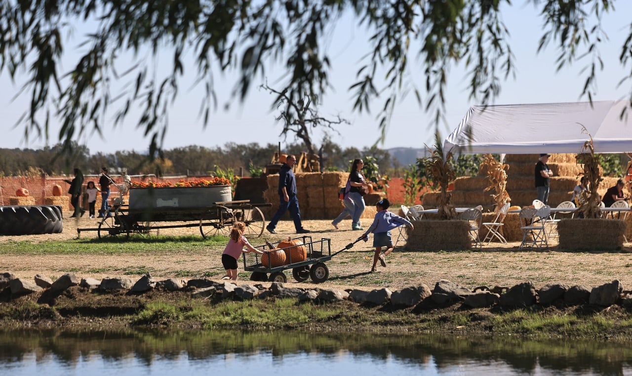 The Ultimate Guide to Sonoma County Pumpkin Patches in 2026