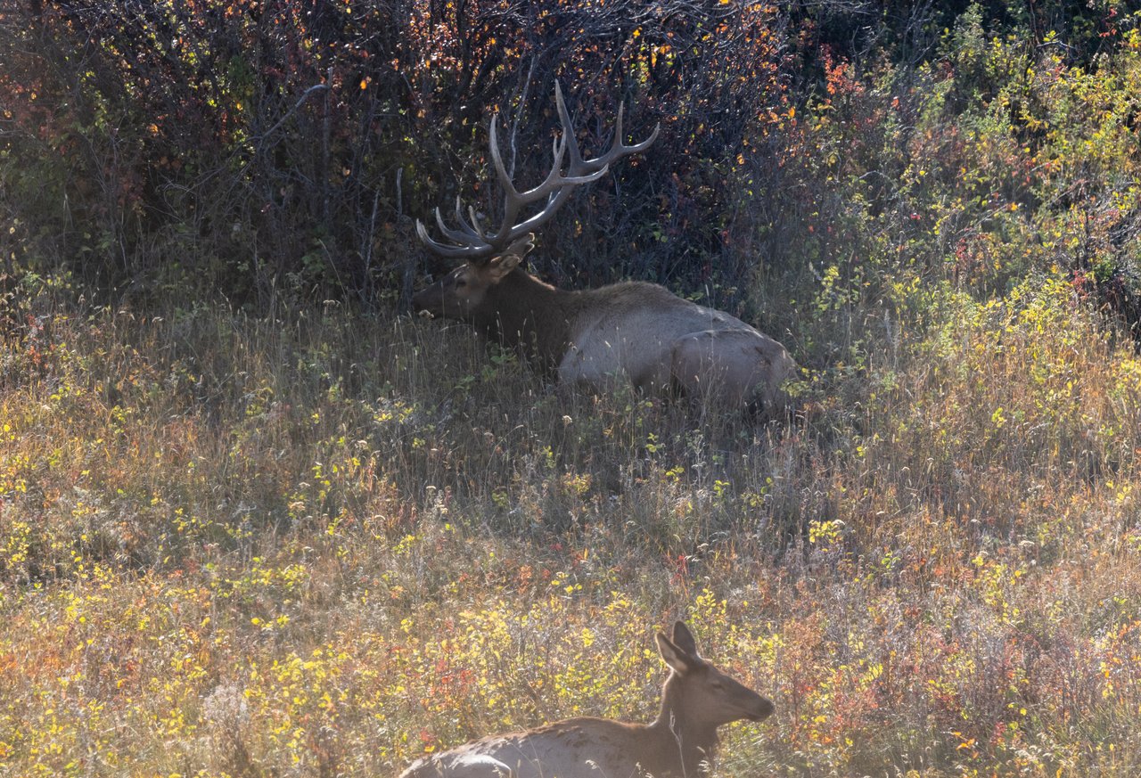 Box Elder Ranch