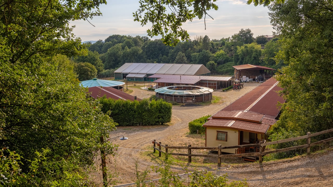 TENUTA CAVALLI CELTI